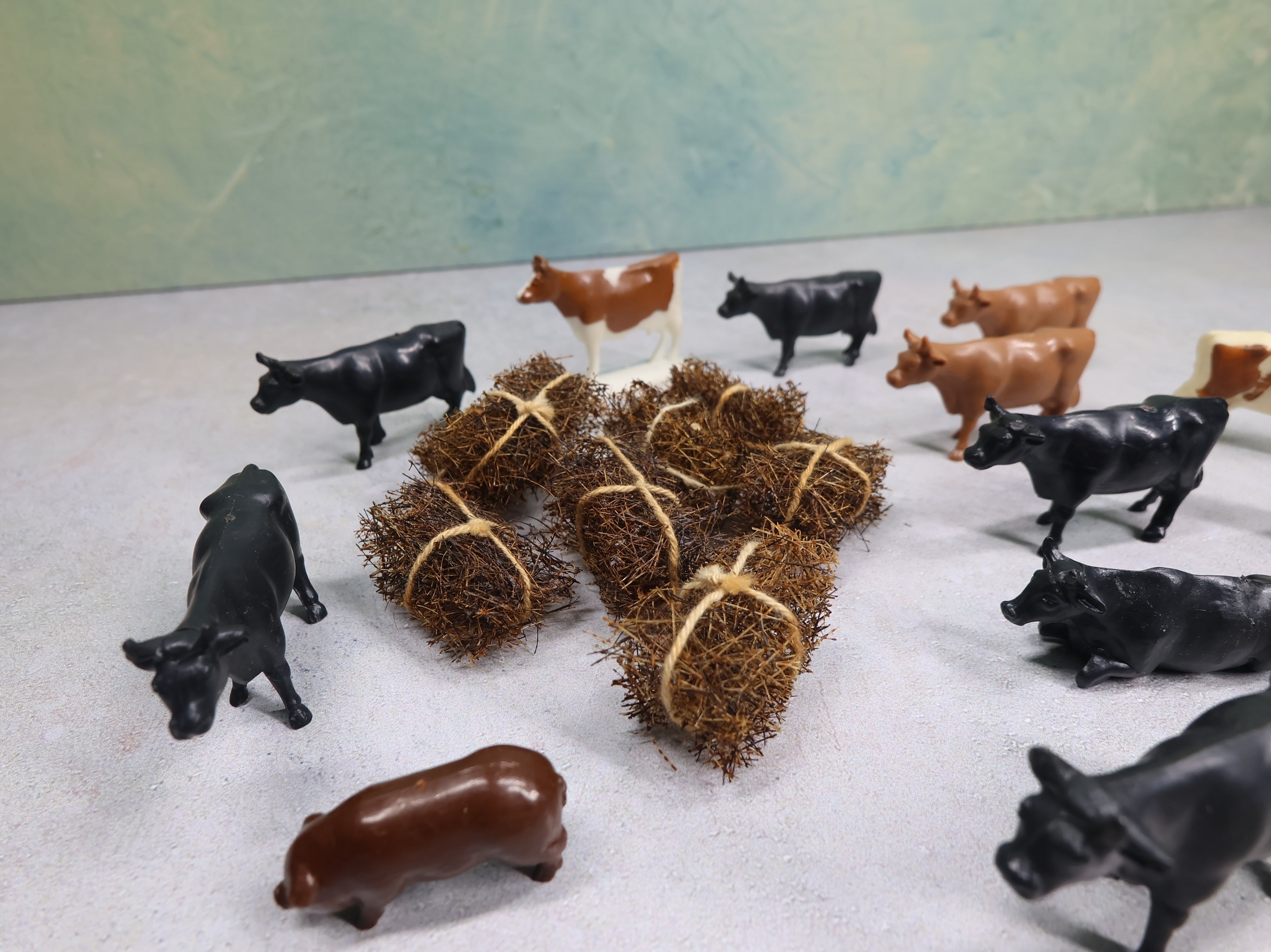 USED O Lot of Cattle