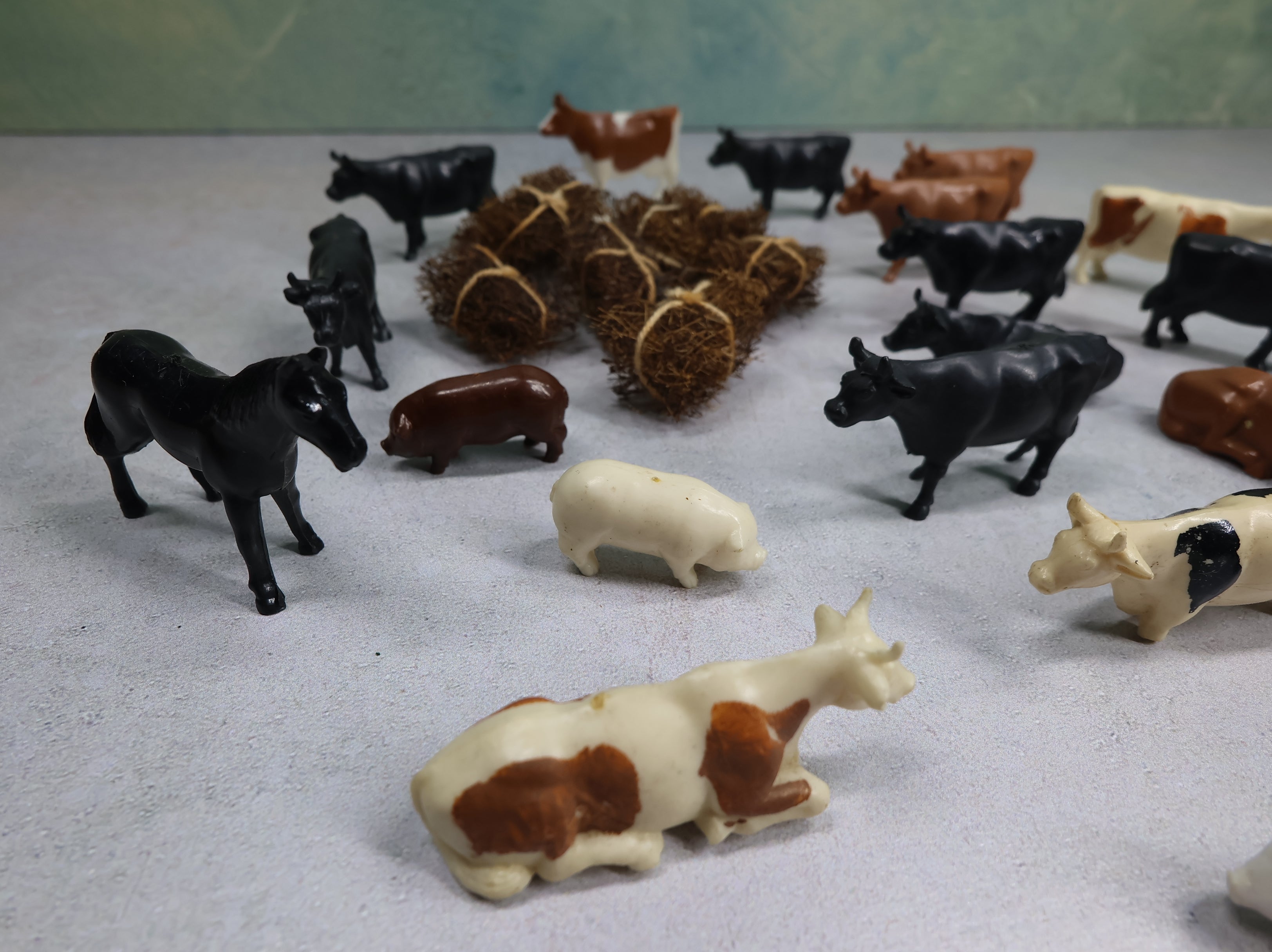 USED O Lot of Cattle