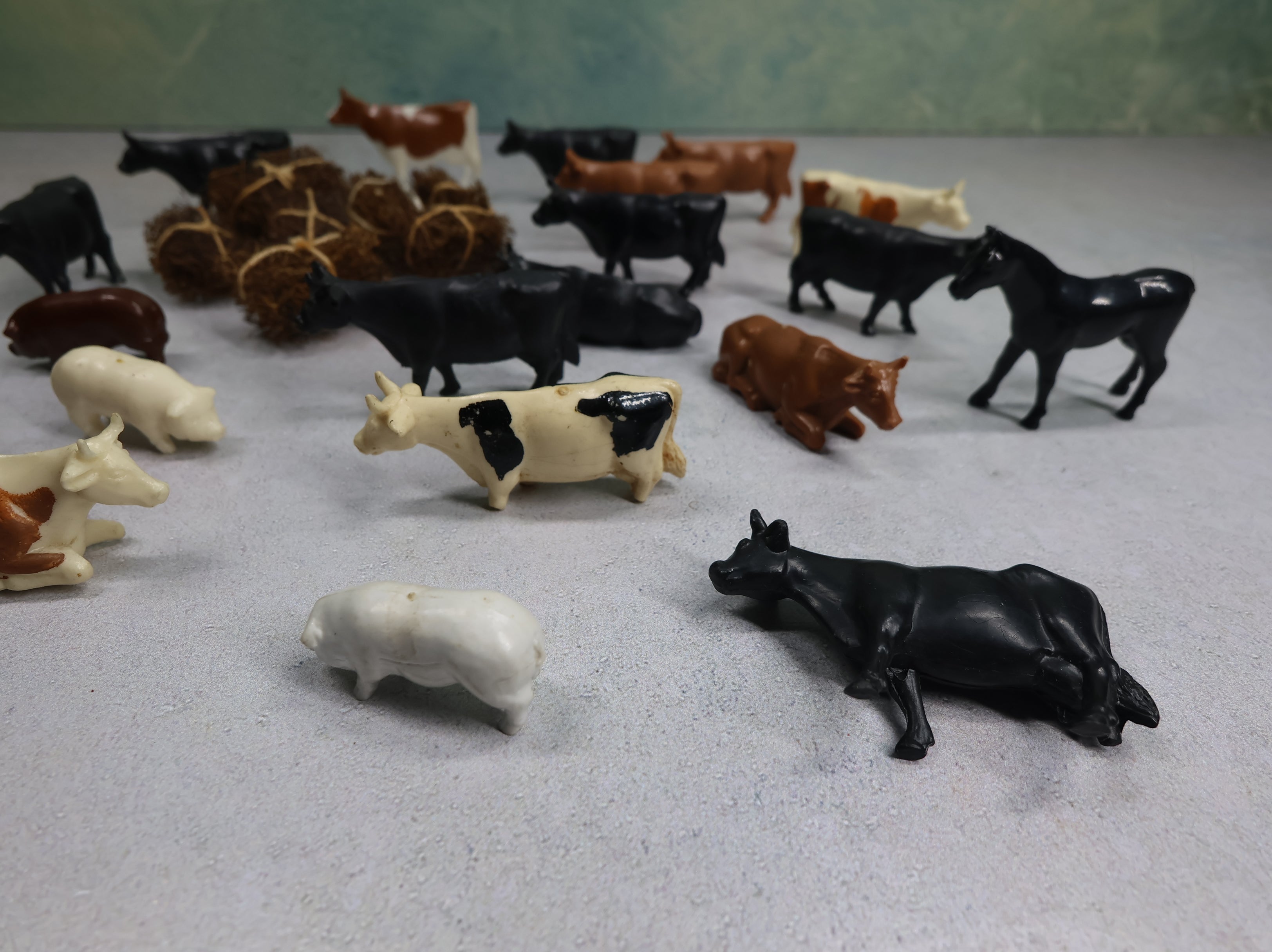 USED O Lot of Cattle