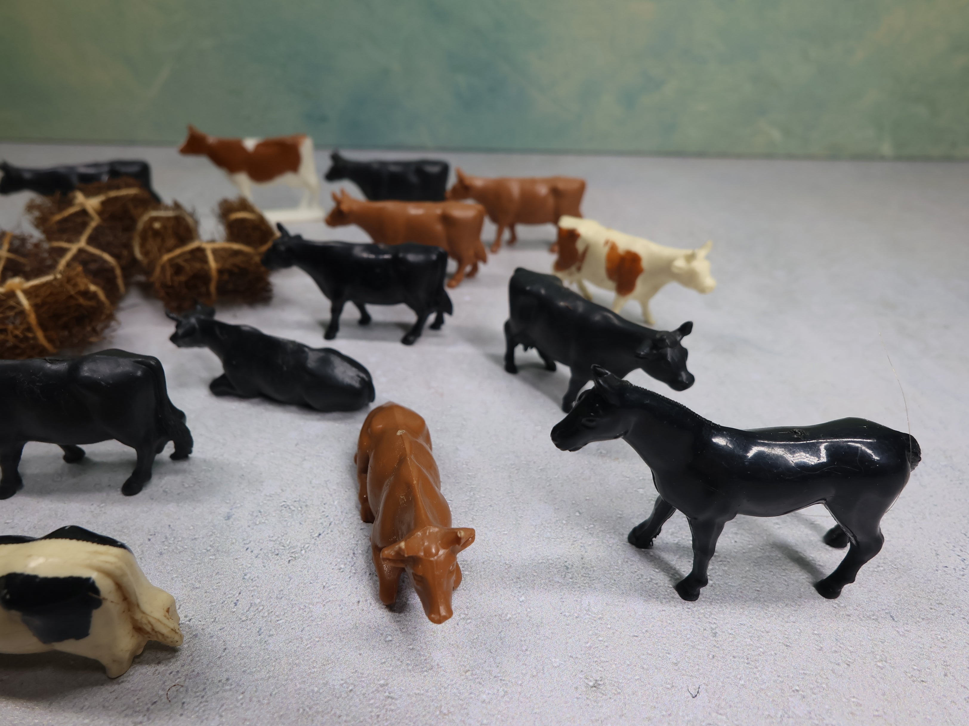 USED O Lot of Cattle