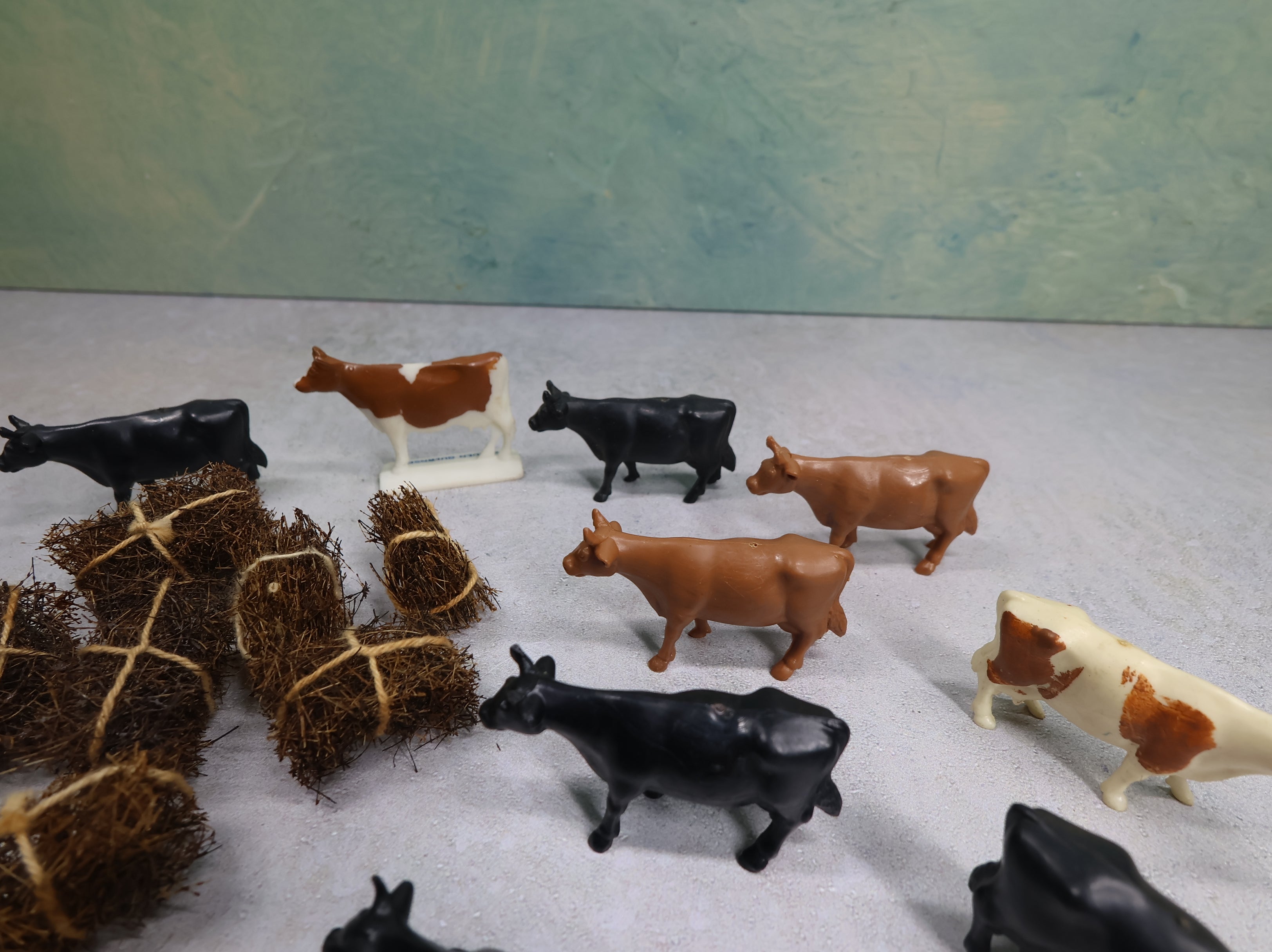 USED O Lot of Cattle