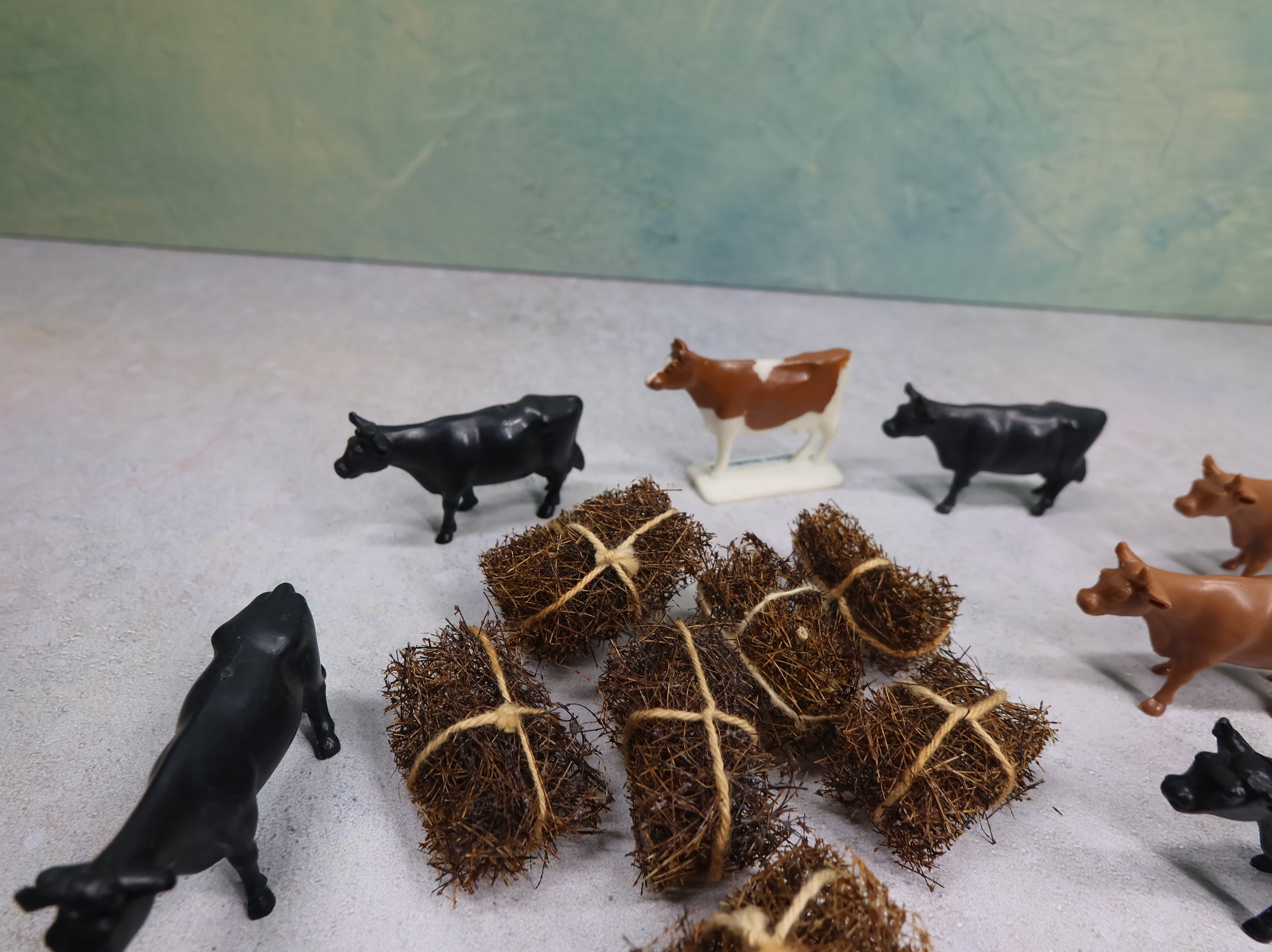 USED O Lot of Cattle