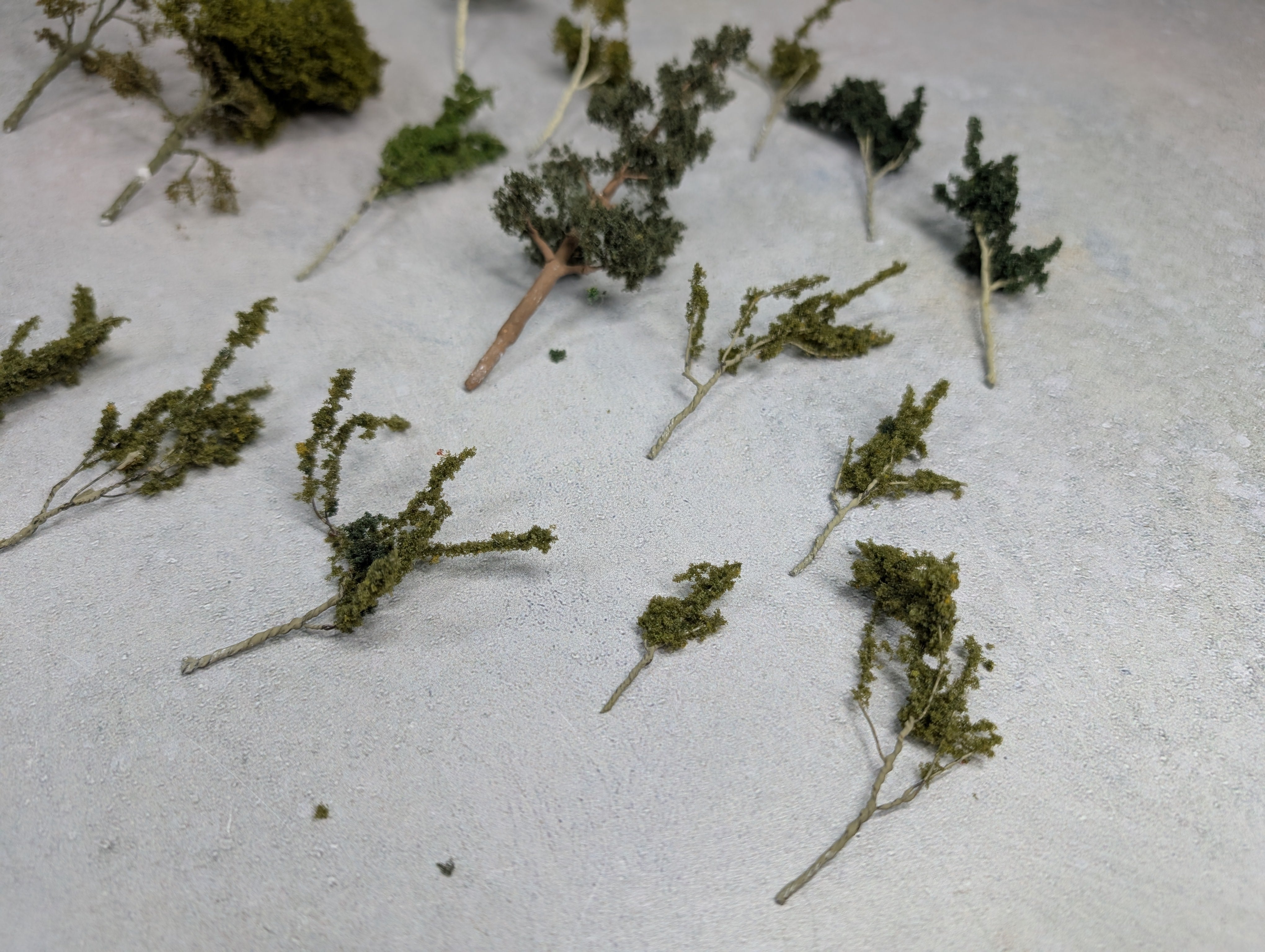 USED MULTI Scale Lot of Trees