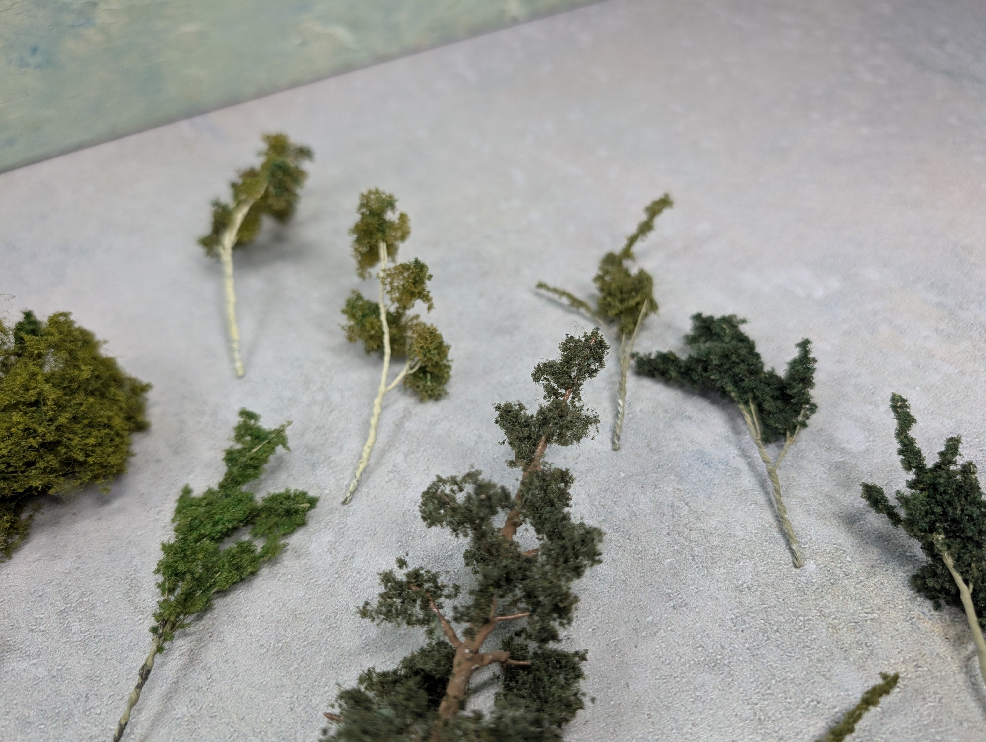 USED MULTI Scale Lot of Trees
