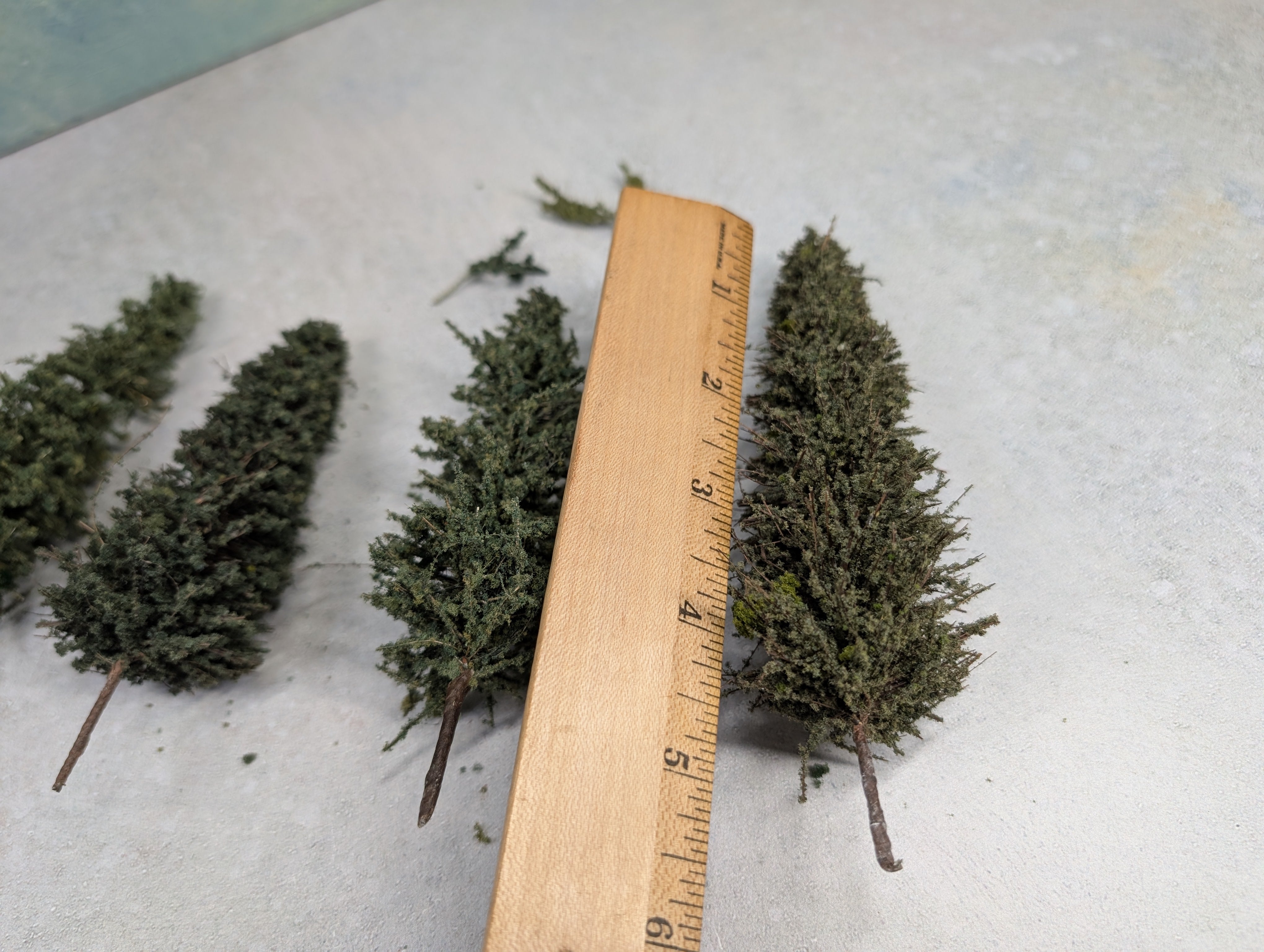 USED MULTI Scale Lot of Trees