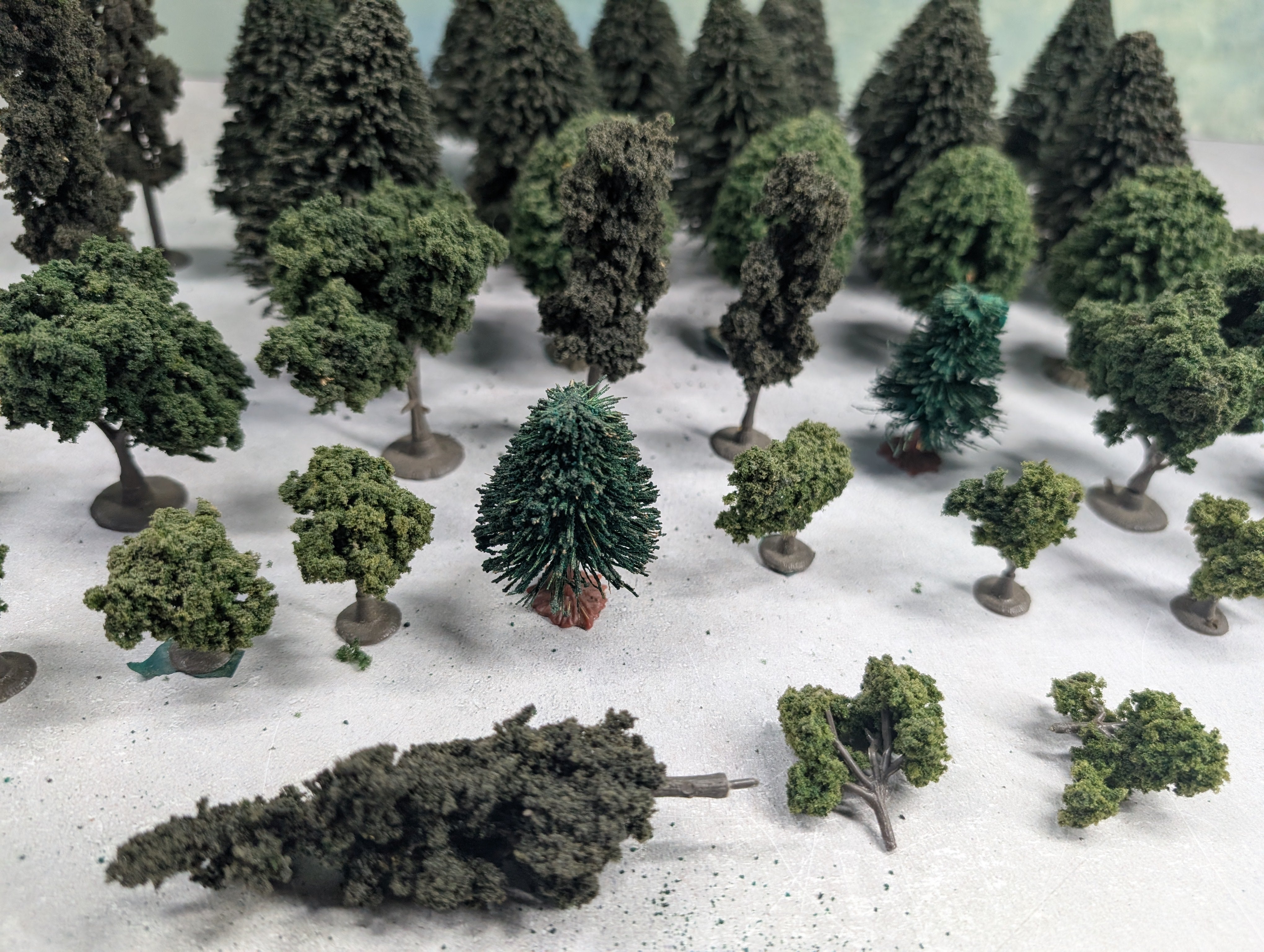 USED MULTI Scale Generous Lot of Nice Pine Trees & Other Trees (30+ pcs)