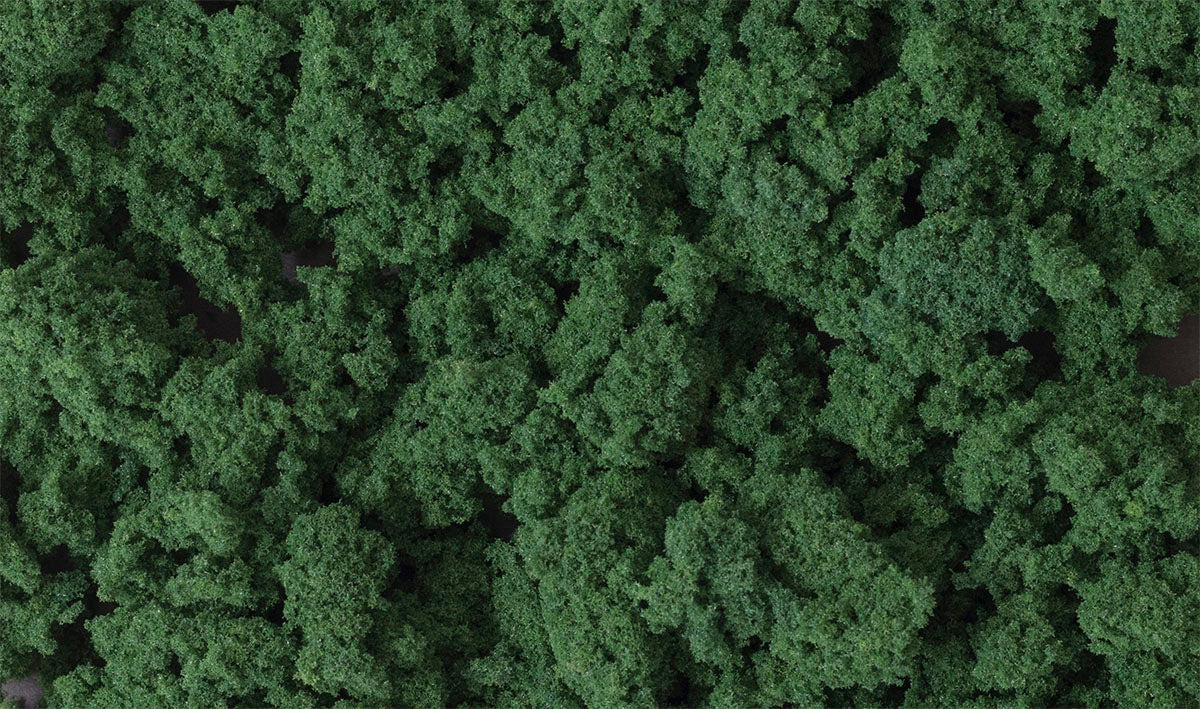 Woodland Scenics FC684 MULTI Scale Clump-Foilage Dark Green