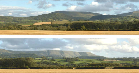 id Backscenes P242 Multi Scale Harvest Hills 10' x 9" in 2 Sections Self-Adhesive Backdrop