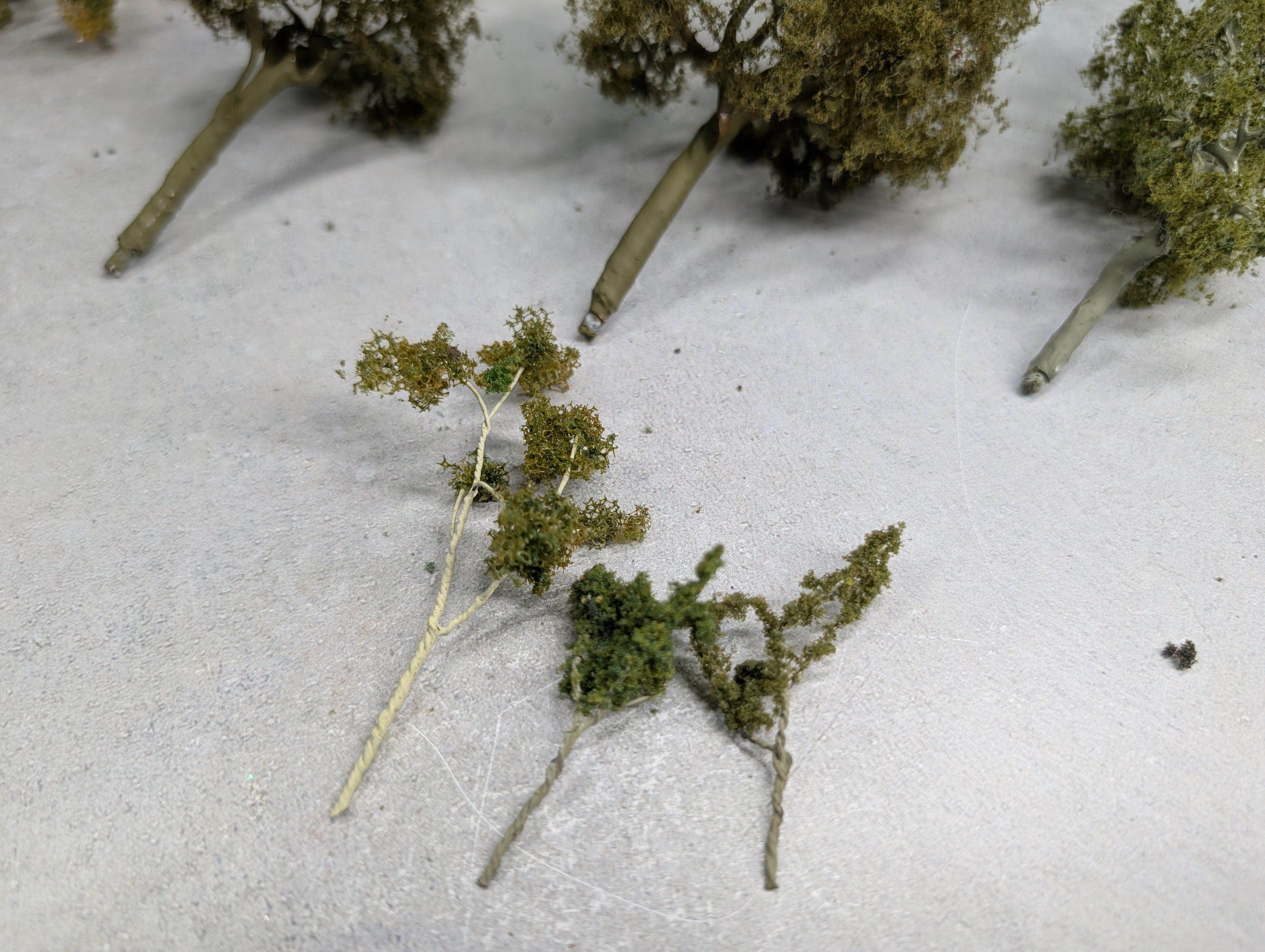 USED Multi Scale Lot of Trees