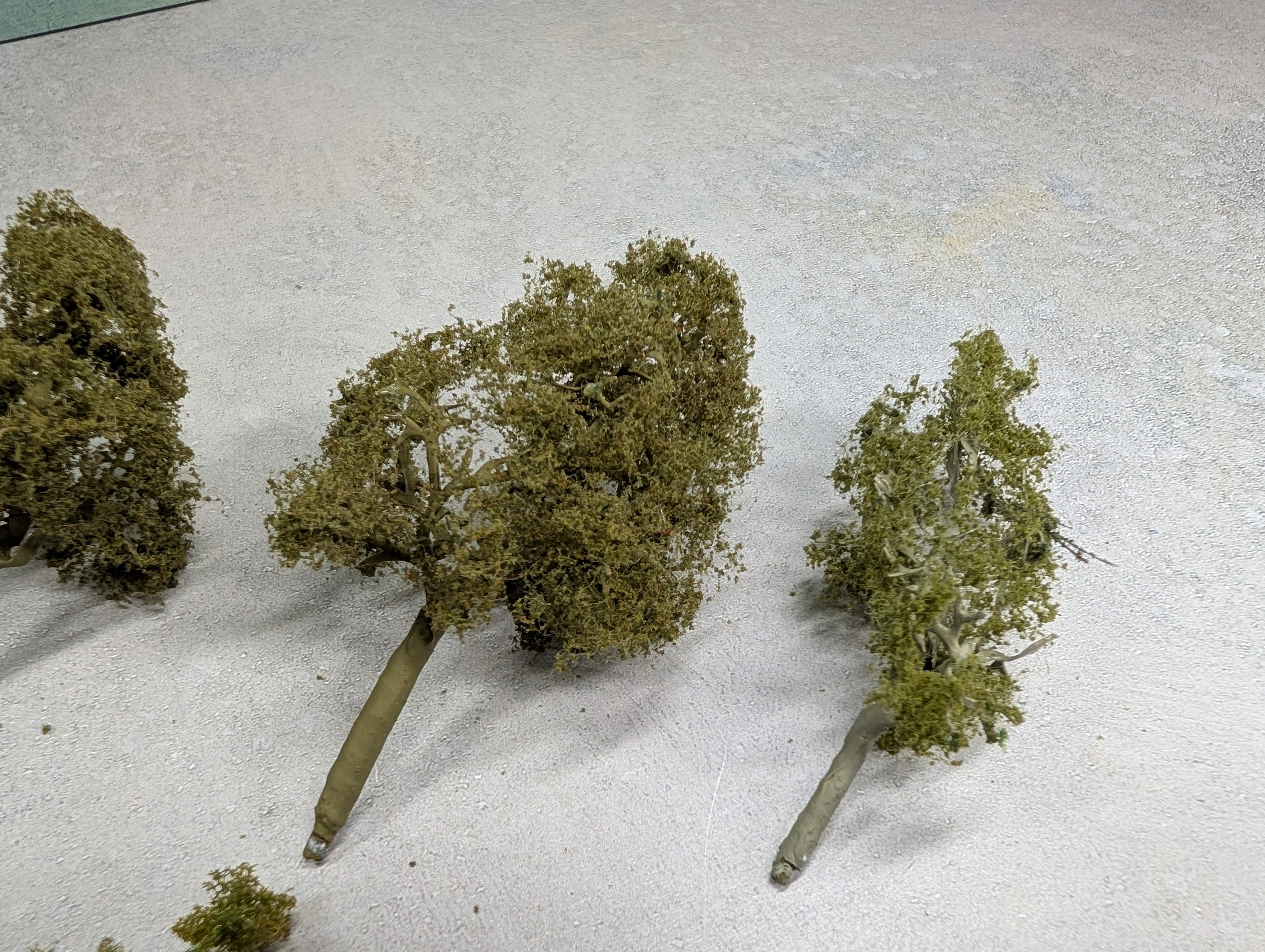 USED Multi Scale Lot of Trees